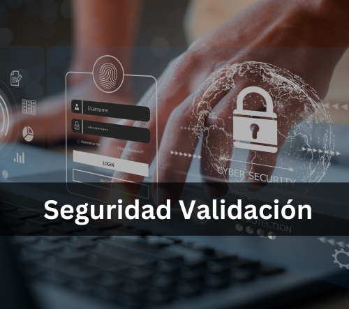 seguridad de validacion en sistemas informaticos